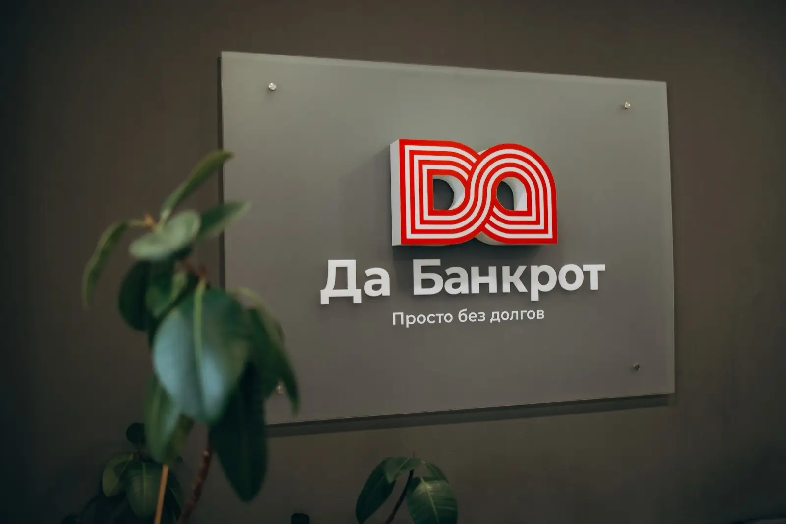 Офис «Да Банкрот»: логотип на стене и рабочие места юристов